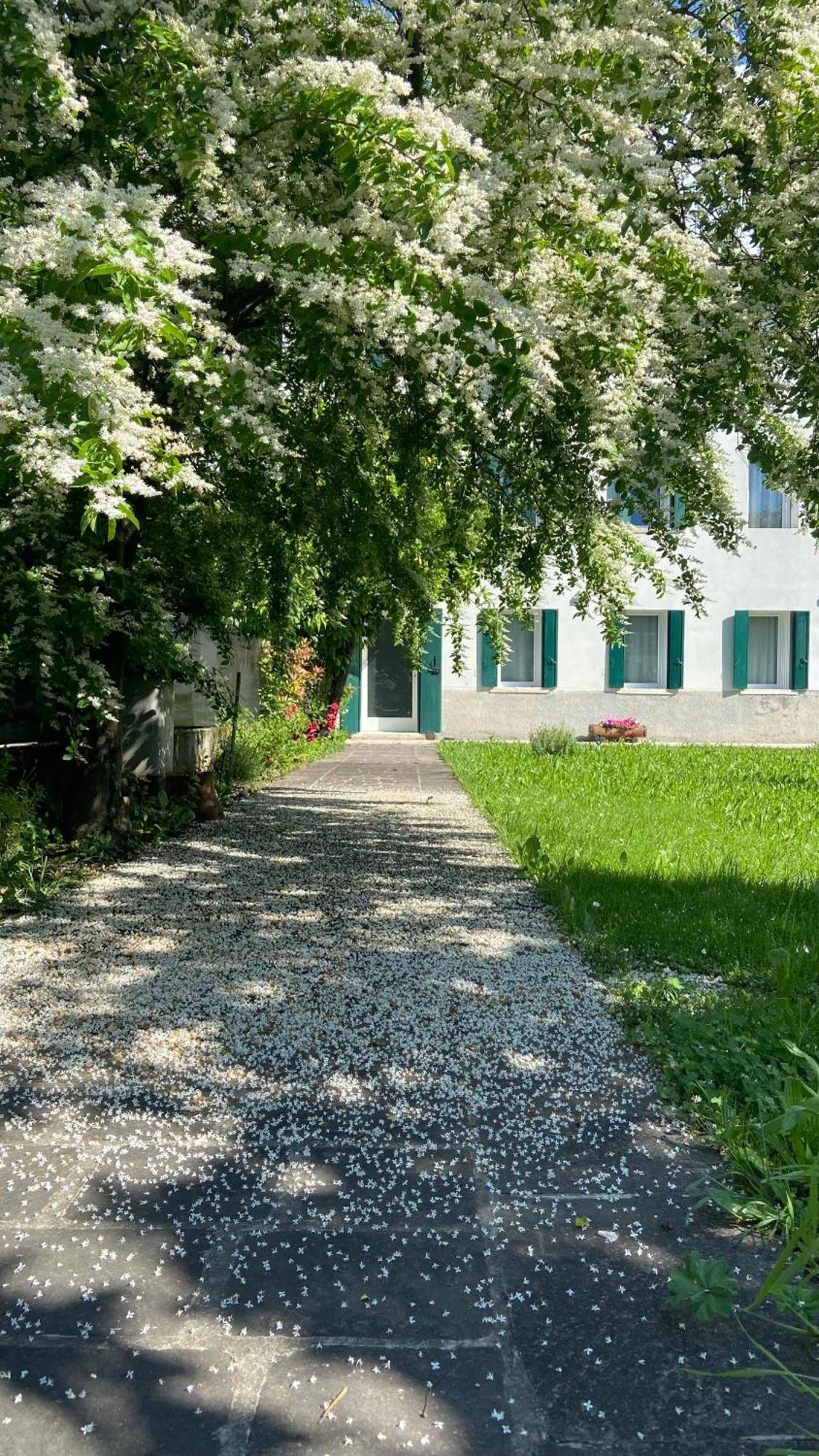 Magnolia 41 Apartment Possagno Exterior foto