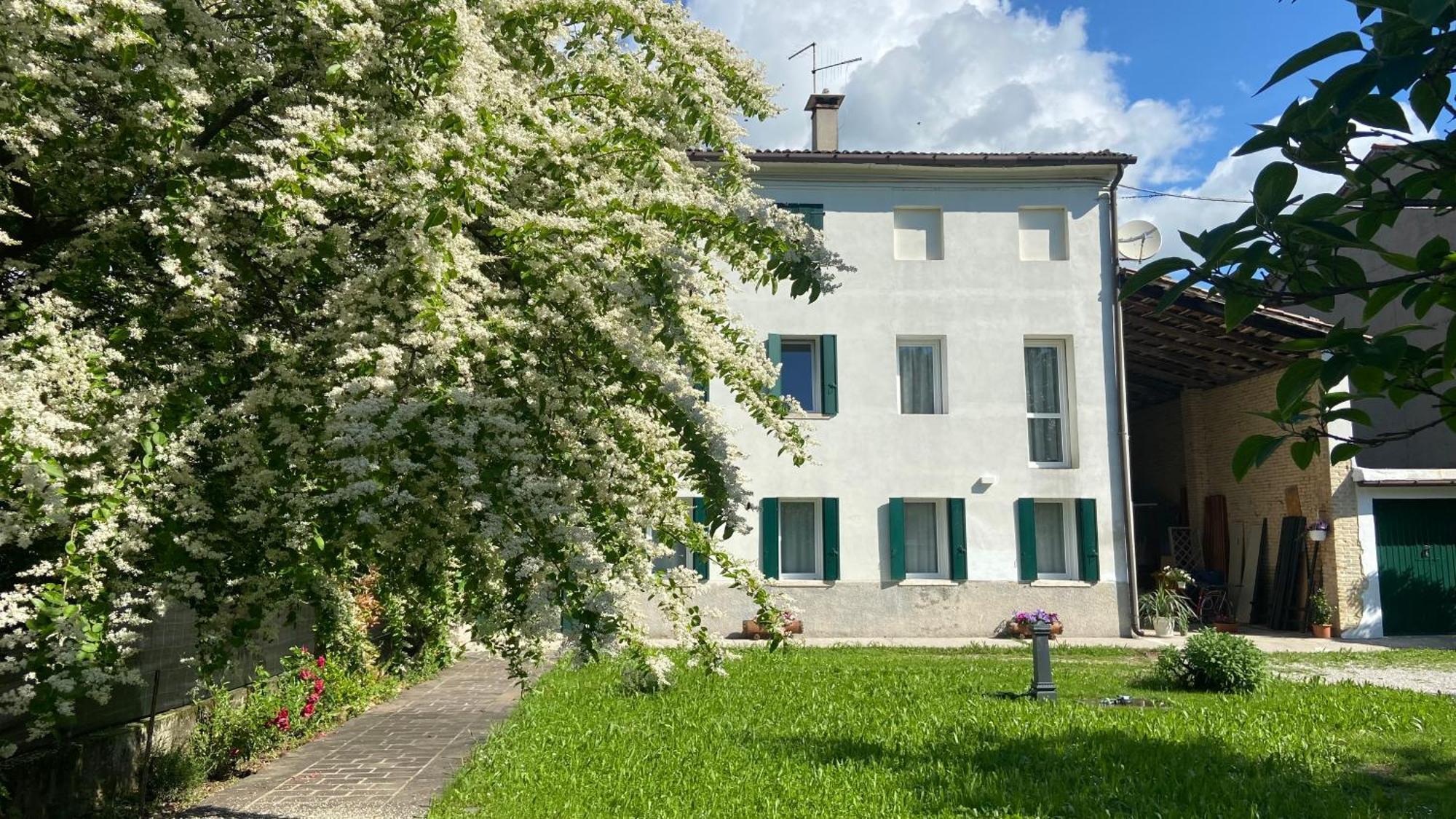 Magnolia 41 Apartment Possagno Exterior foto