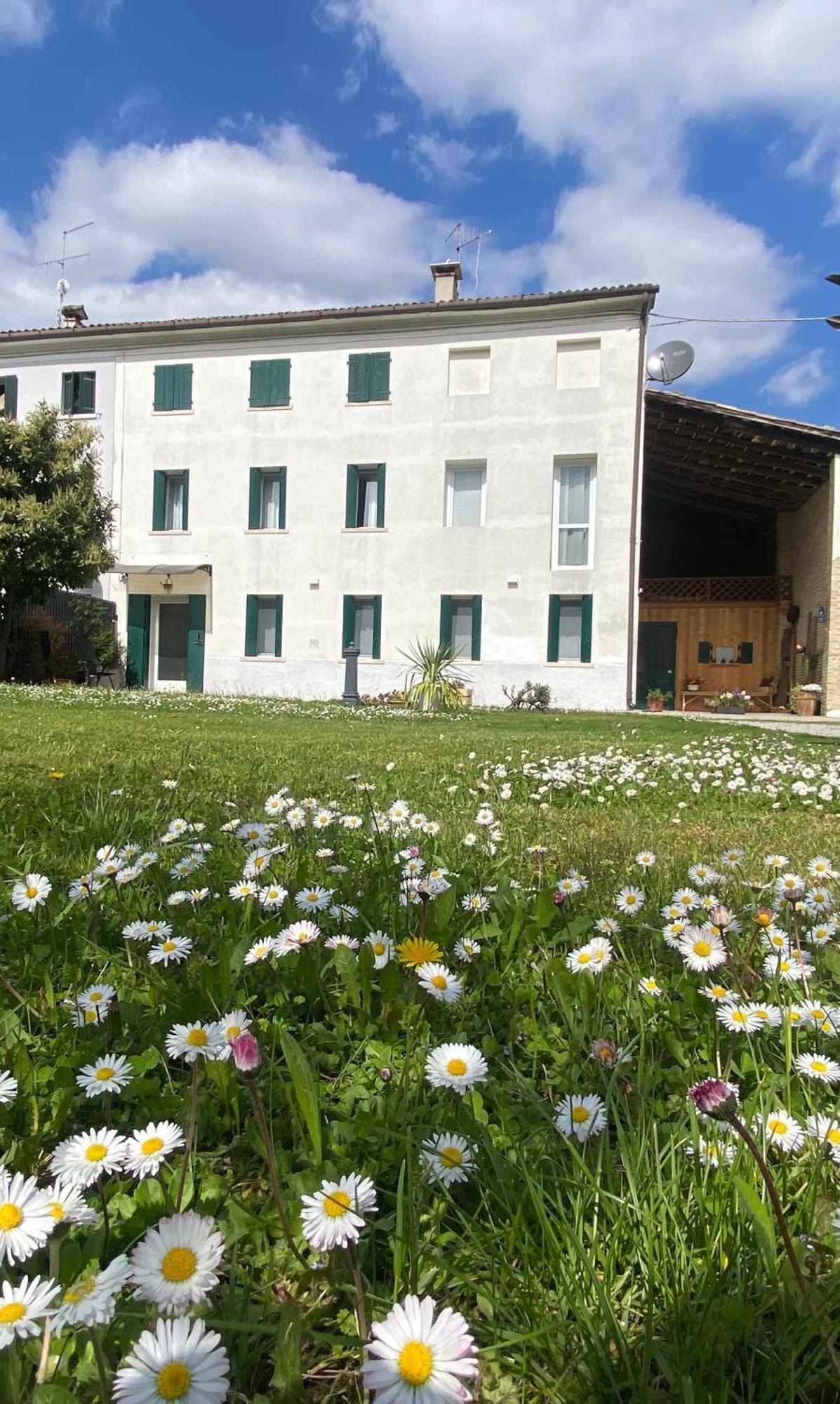 Magnolia 41 Apartment Possagno Exterior foto
